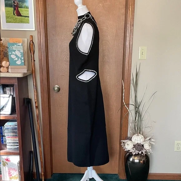 Elegant Sleeveless, Sweater Maxi by Express - Picture 10 of 17